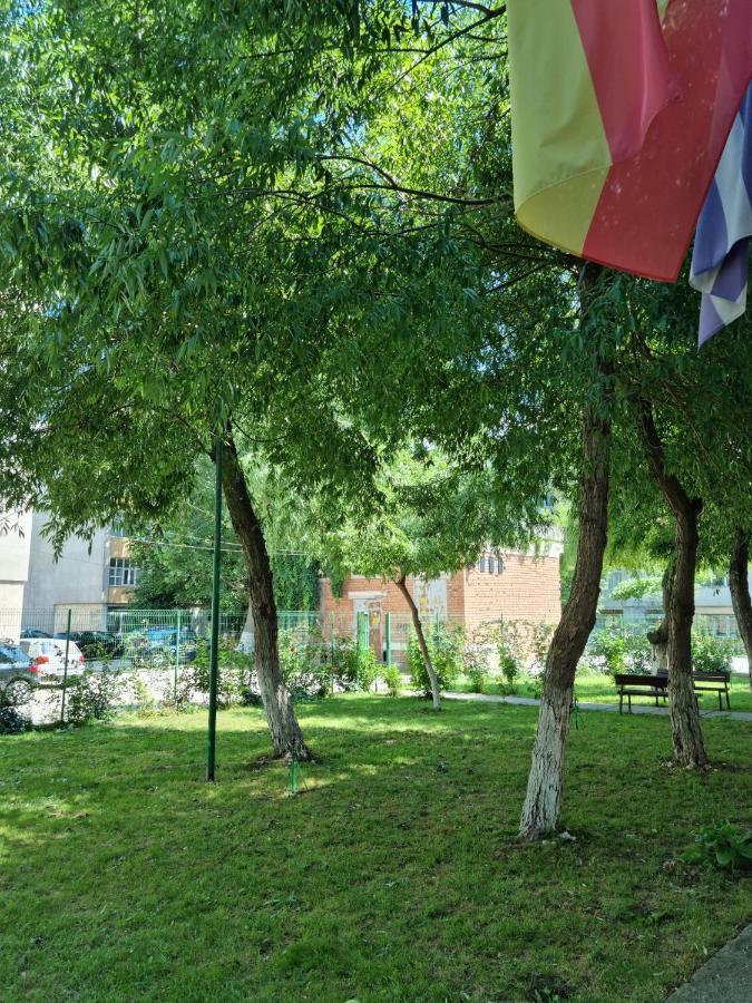Garsoniere Aby Lejlighed Turnu Măgurele Eksteriør billede